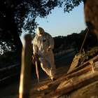 Brasil já tem mais de meio milhão de infectados por covid-19