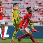 Após apedrejamento, muros de atleta e técnico do Benfica ...