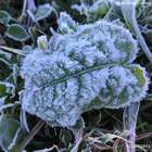 Previsão de geada na Serra da Mantiqueira e sul de MG