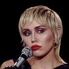 Miley Cyrus resgata cão que vagava em estação de bombeiros