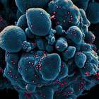 Documentários na TV ajudam a refletir sobre covid-19