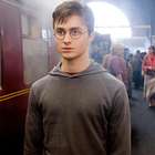 Chefe da Warner indica novos projetos para Harry Potter