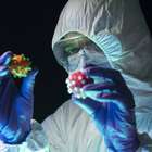 Baixa vigilância sobre variantes na América Latina vira ameaça ao mundo