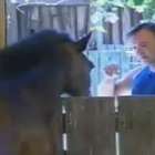 O peso da roça: Felipeh Campos chora e desabafa com cavalos