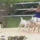 Segura, peoa! Cabras dão um "olé" em Babi Rossi