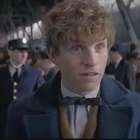 Spin off de Harry Potter, "Animais Fantásticos" ganha trailer