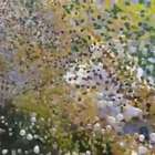 Balões colorem o céu de SP para despedir um ano de crise