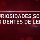 Cinco Curiosidades Sobre o Dente de Leite