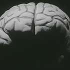 ¿Alguna vez tienes Déjà Vu?