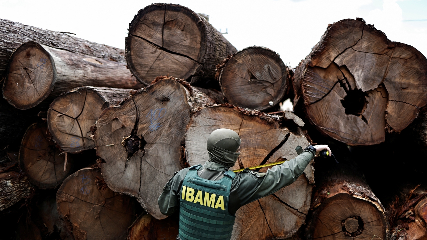  Foto: Reprodução/REUTERS/Ueslei Marcelino