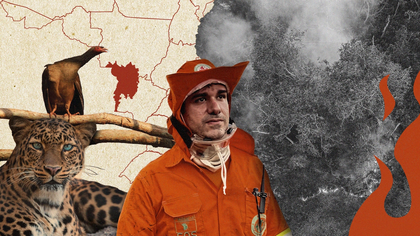  Foto: Divulgação SOS Pantanal e Freepik | Arte: Mariana Sartori