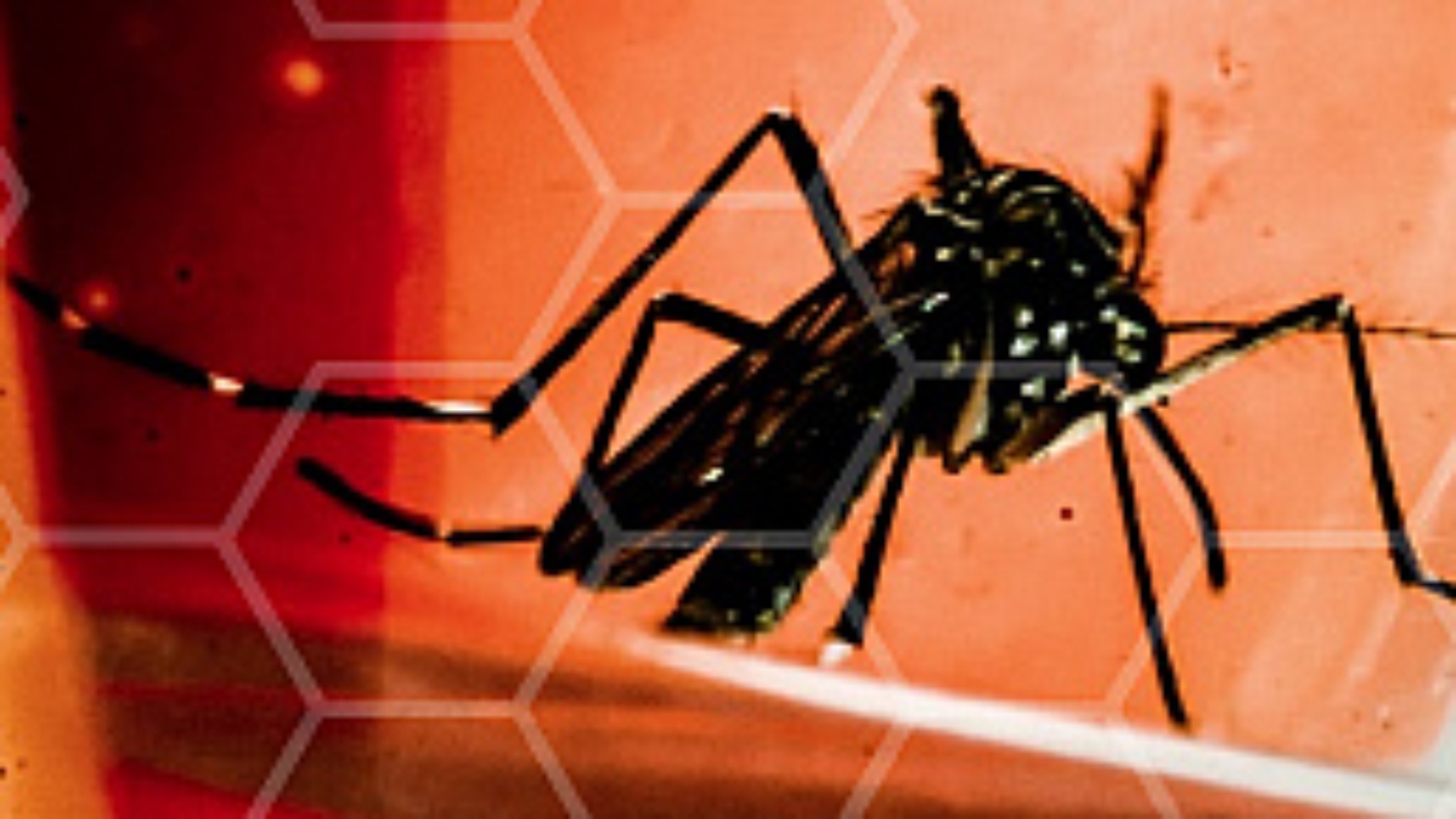  Foto: Fundação Oswaldo Cruz