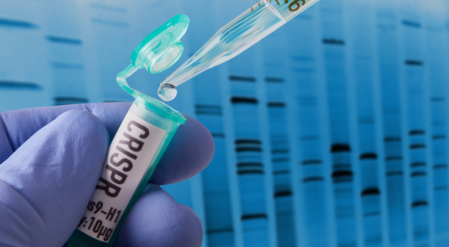 Pesquisa CRISPR no laboratório  Foto: Bill Oxford