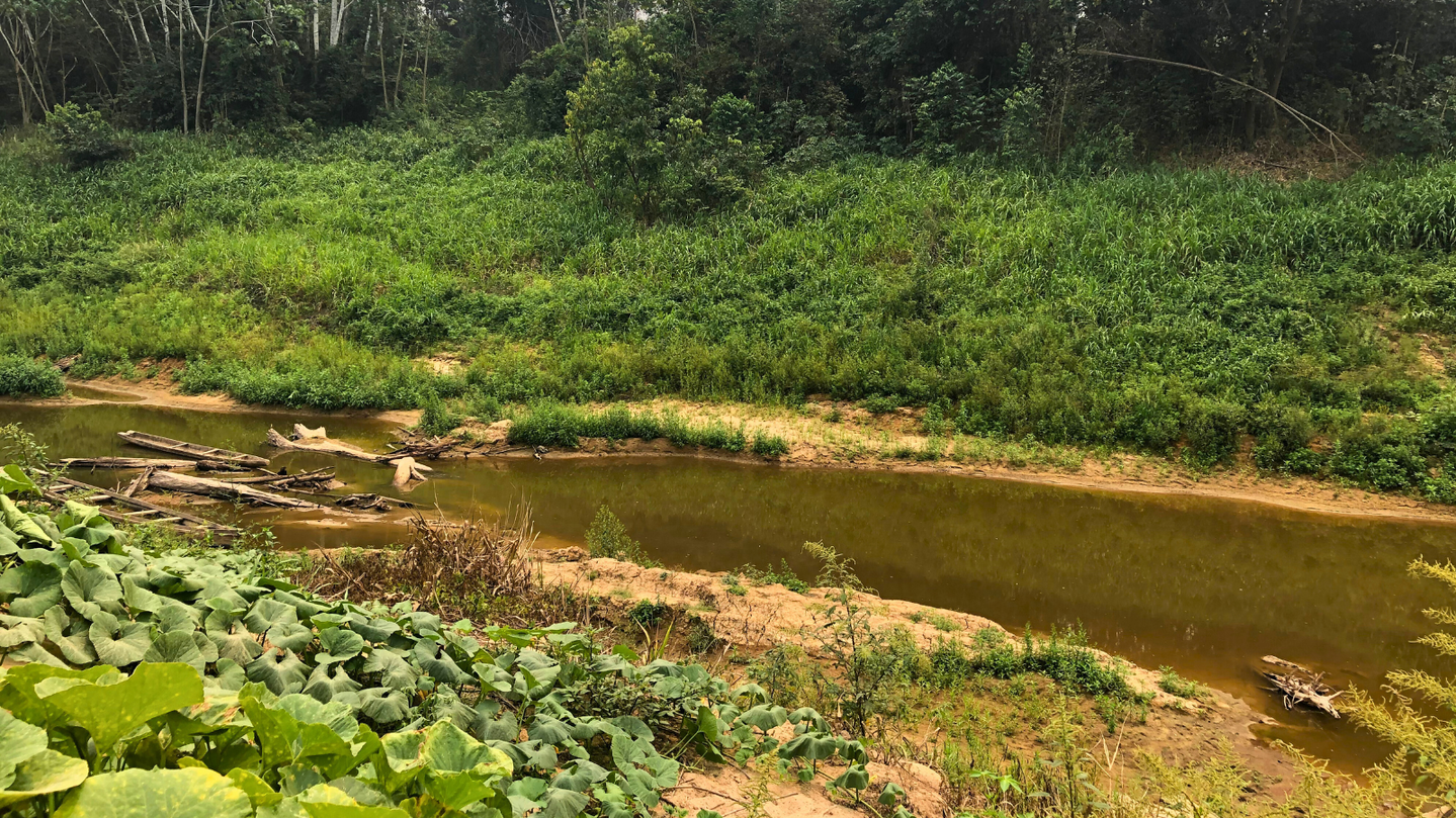 Amazônia pode ter seca histórica em 2024  Foto: Adrielle Farias/Terra