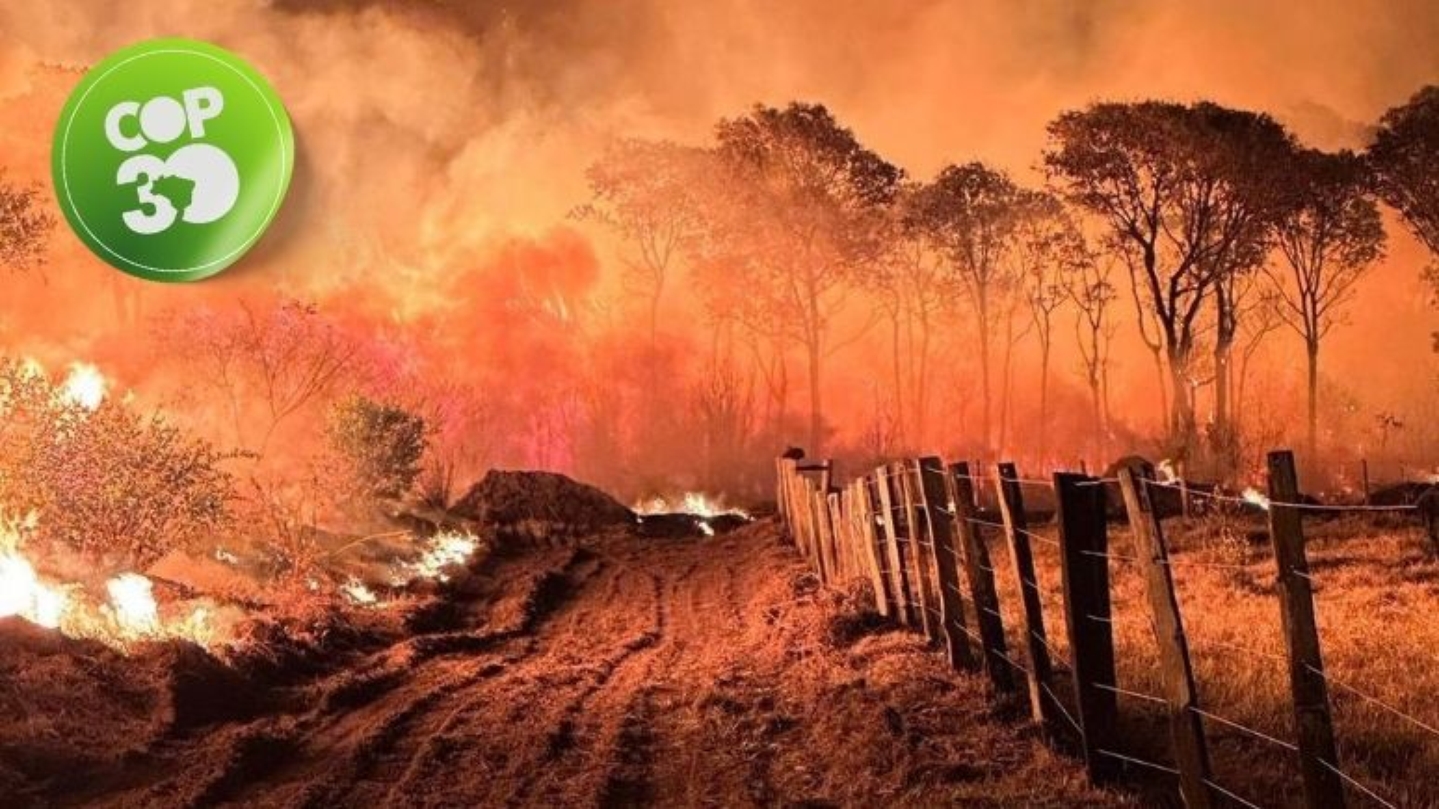 Incêndio Pantanal  Foto: CBMS/Divulgação