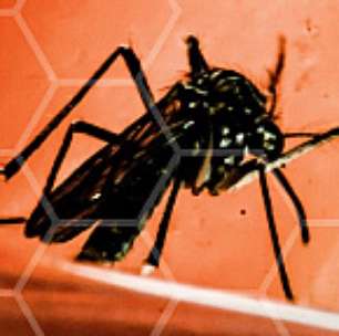 Se pode ser dengue, pode ser grave: veja as estratégias de enfrentamento do governo