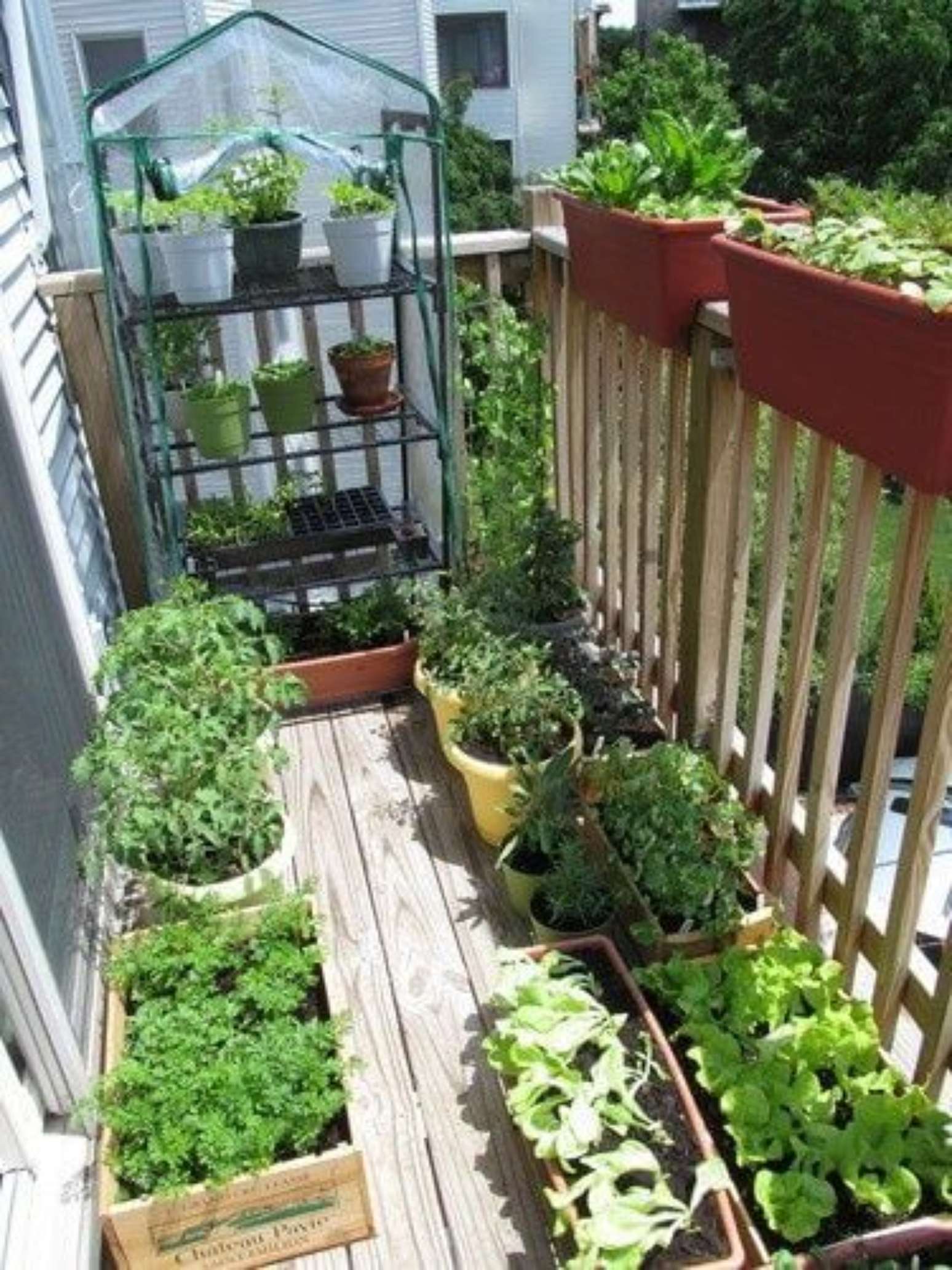 Horta no Quintal: Como Fazer, +45 Ideias para Fazer na sua Casa