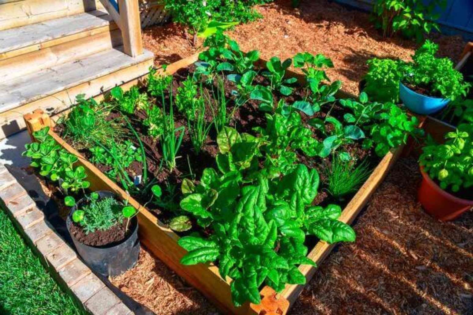 Horta no Quintal: Como Fazer, +45 Ideias para Fazer na sua Casa