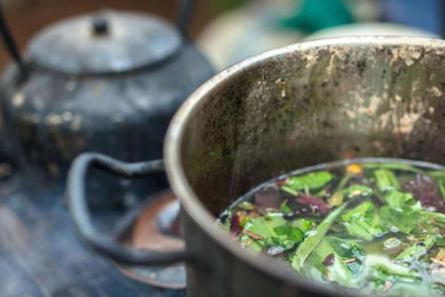 Conheça tudo sobre o Santo Daime: ritual, chá ayahuasca e orações