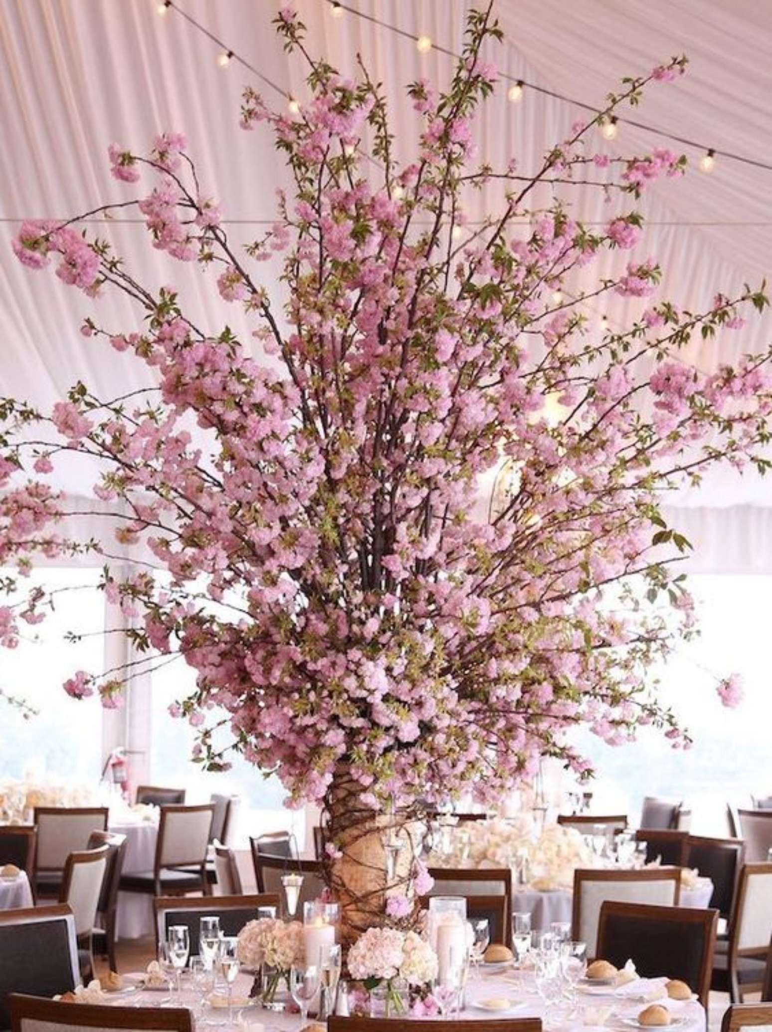 Flor de Cerejeira: Significado, Lendas e +35 Ideias para Usar na Decoração