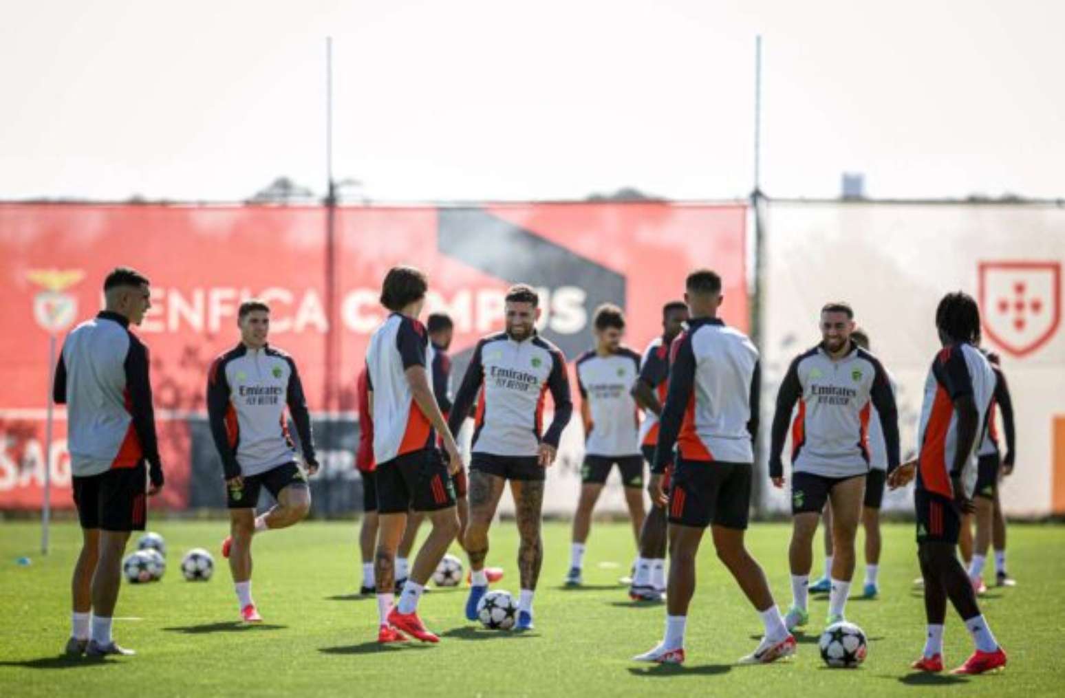 Benfica x Santa Clara: onde assistir, escalações e arbitragem