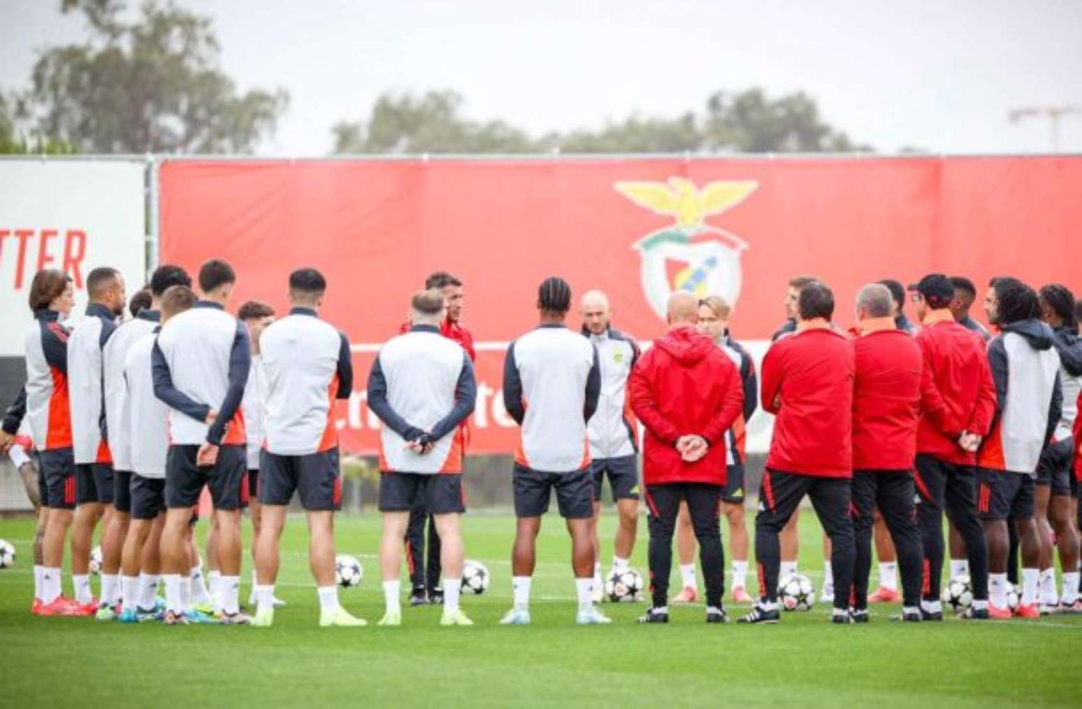 Benfica x Famalicão: Onde assistir, escalações e arbitragem