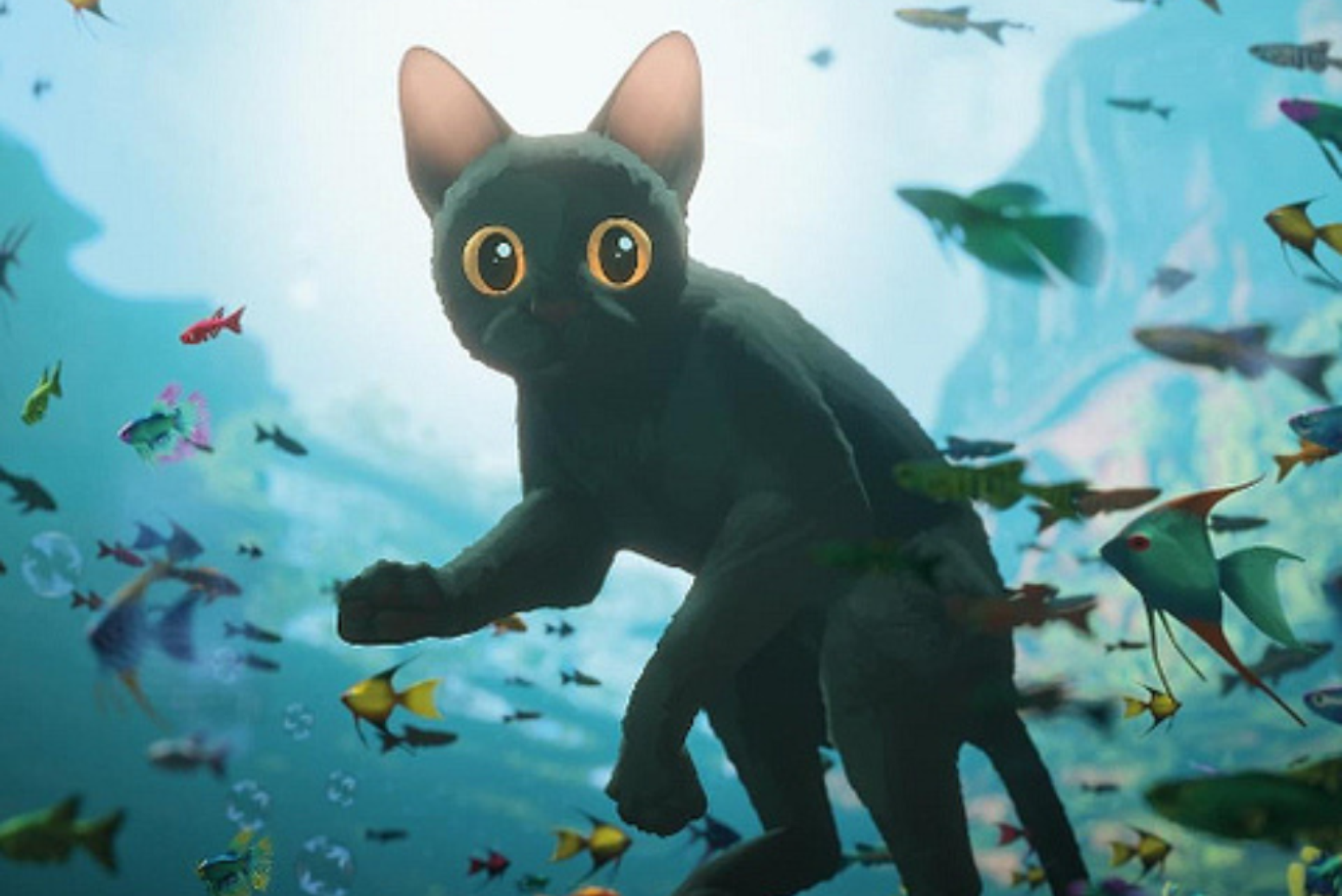 12 filmes para assistir com seu gato - além de Flow, vencedor do Oscar ...