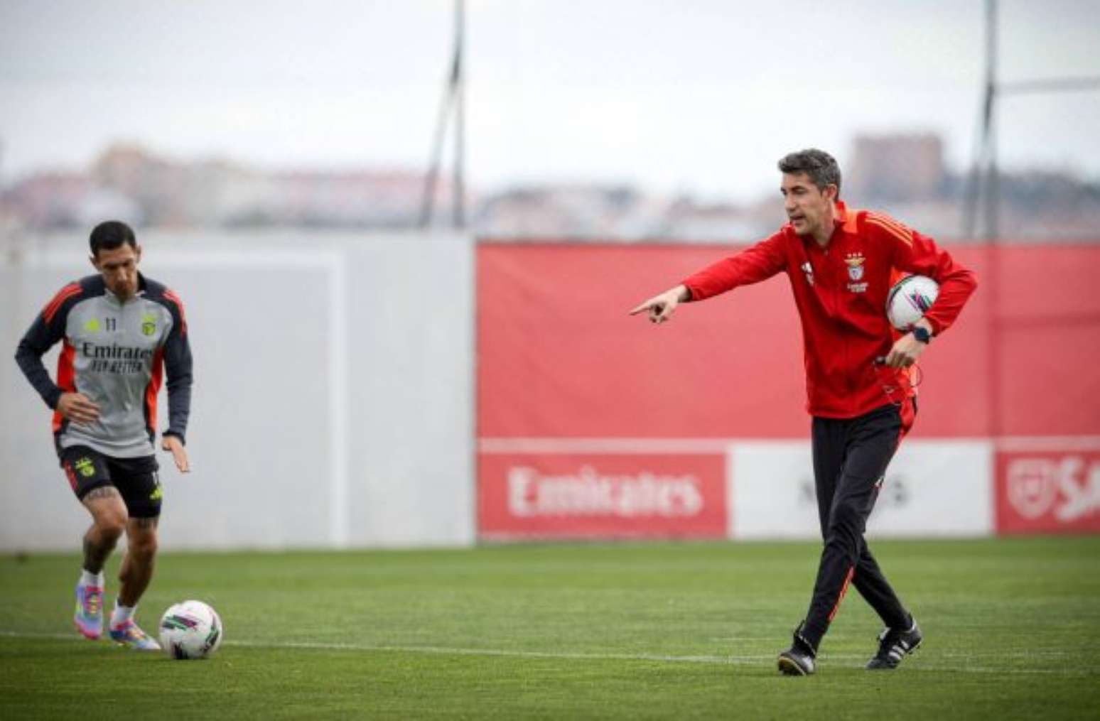 Benfica x Farense: onde assistir e escalações