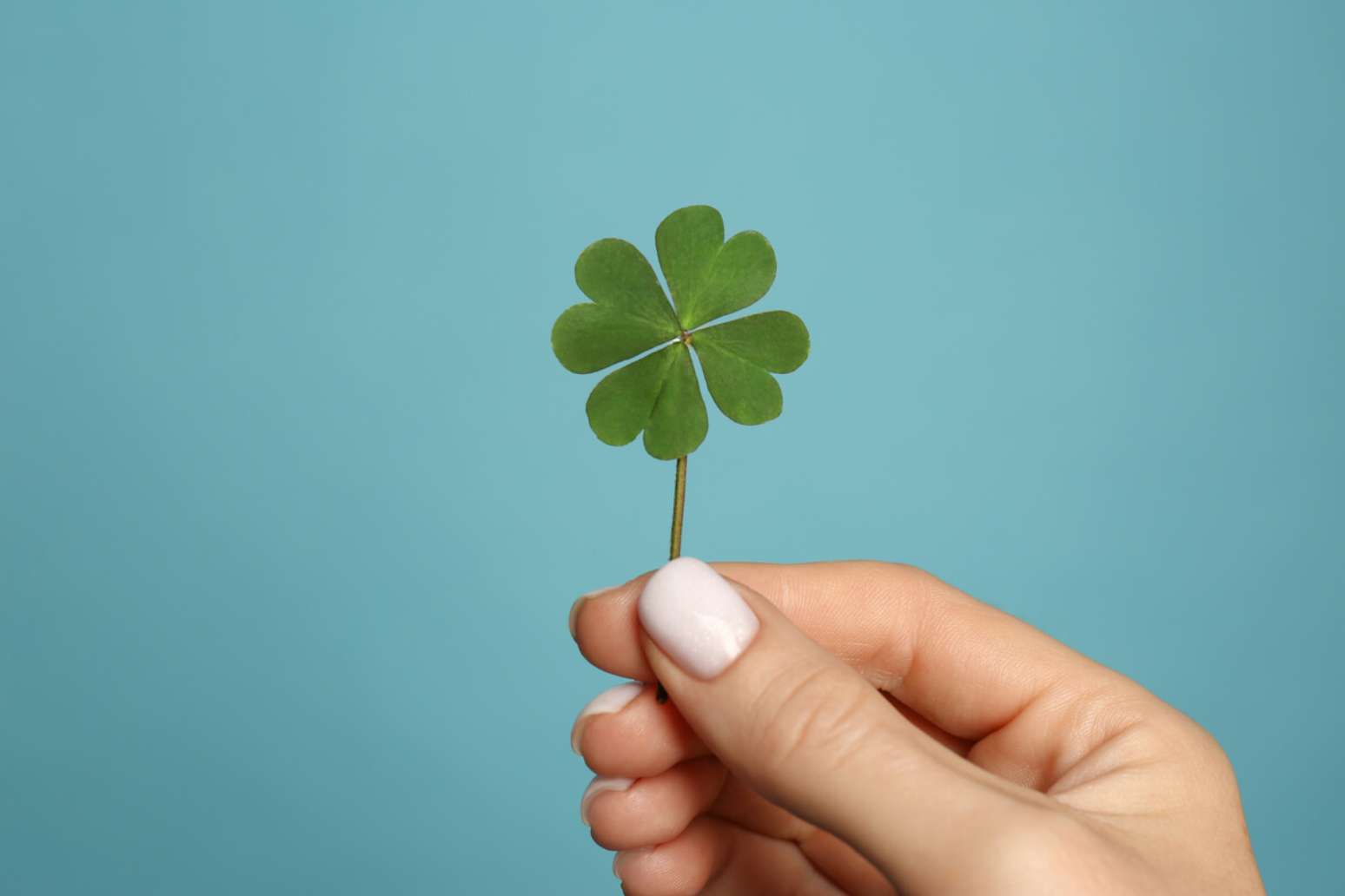 5 amuletos para atrair sorte, proteção e prosperidade