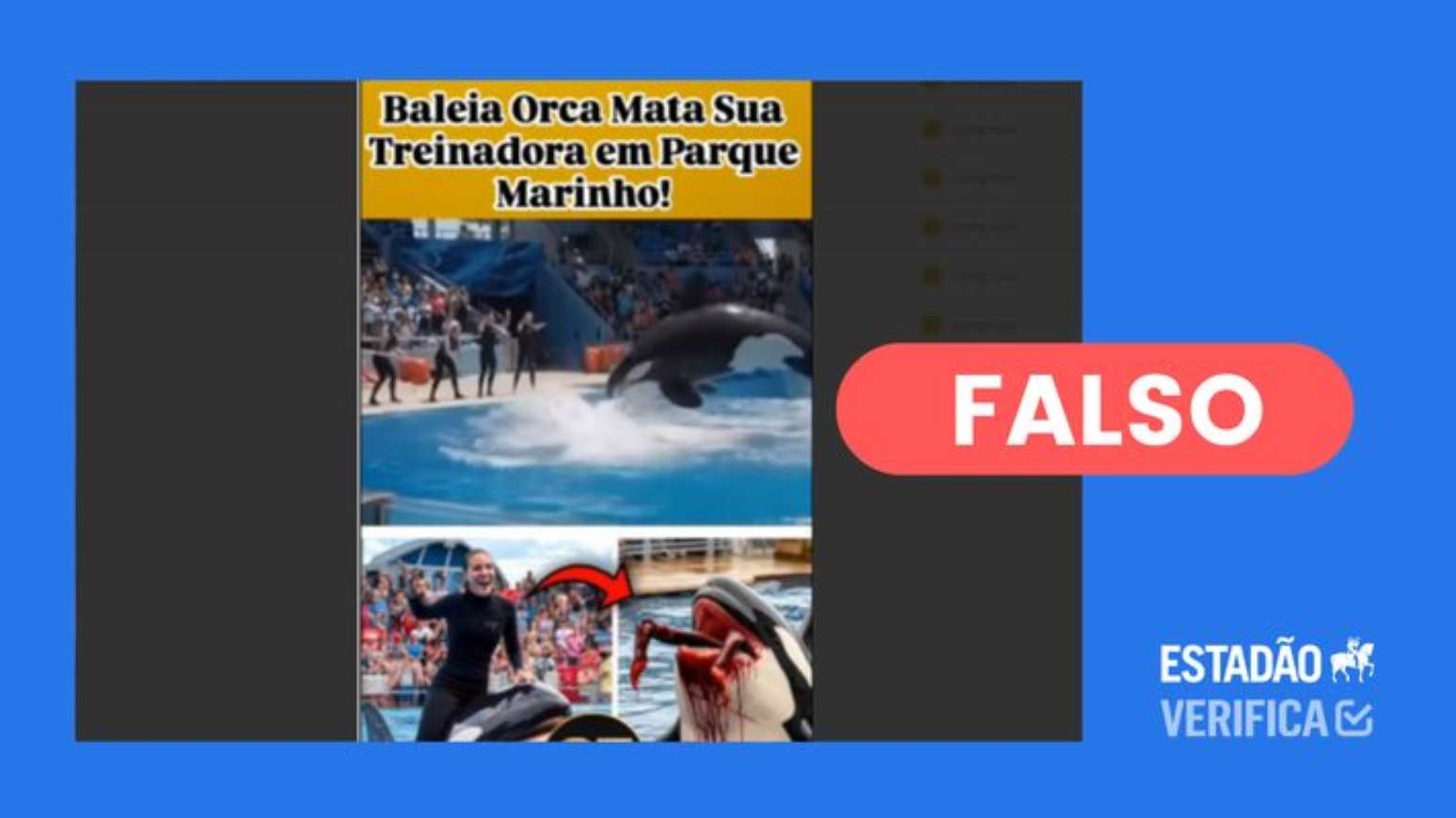 Vídeos de ataque de orca a treinadora Jessica Radcliffe foram feitos com IA