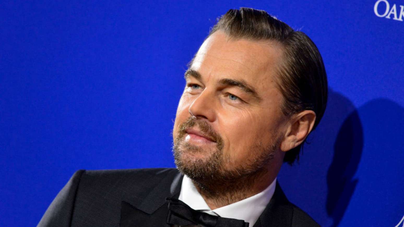 5274108228479542760alleleonardo Dicaprio Infos Und Filmehtml