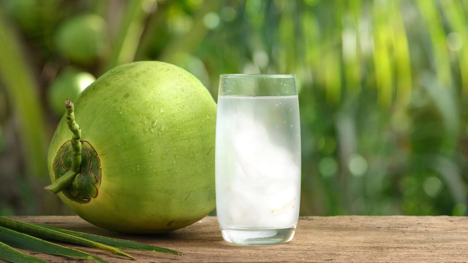 Mais do que só hidratação! 5 benefícios da água de coco