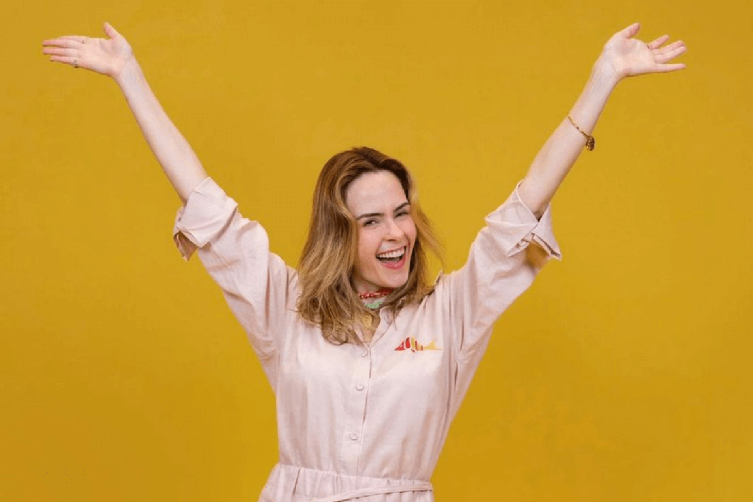 Ana Paula Renault 5 curiosidades sobre a veterana do BBB 26 que poucos