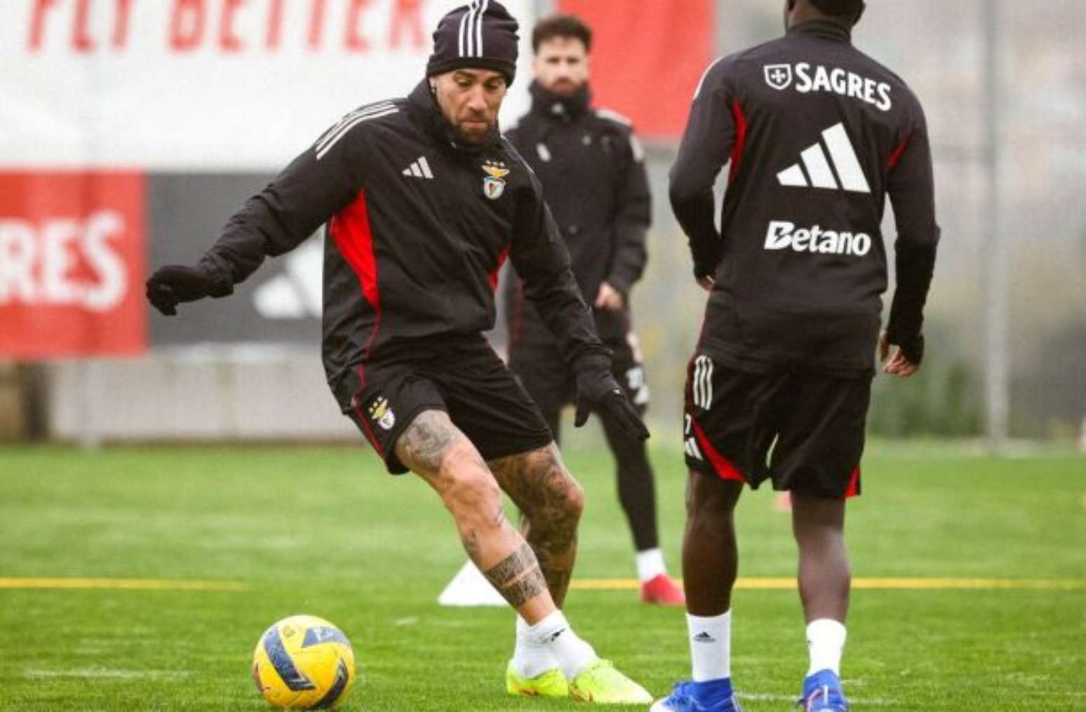 Santa Clara x Benfica: onde assistir, escalações e arbitragem