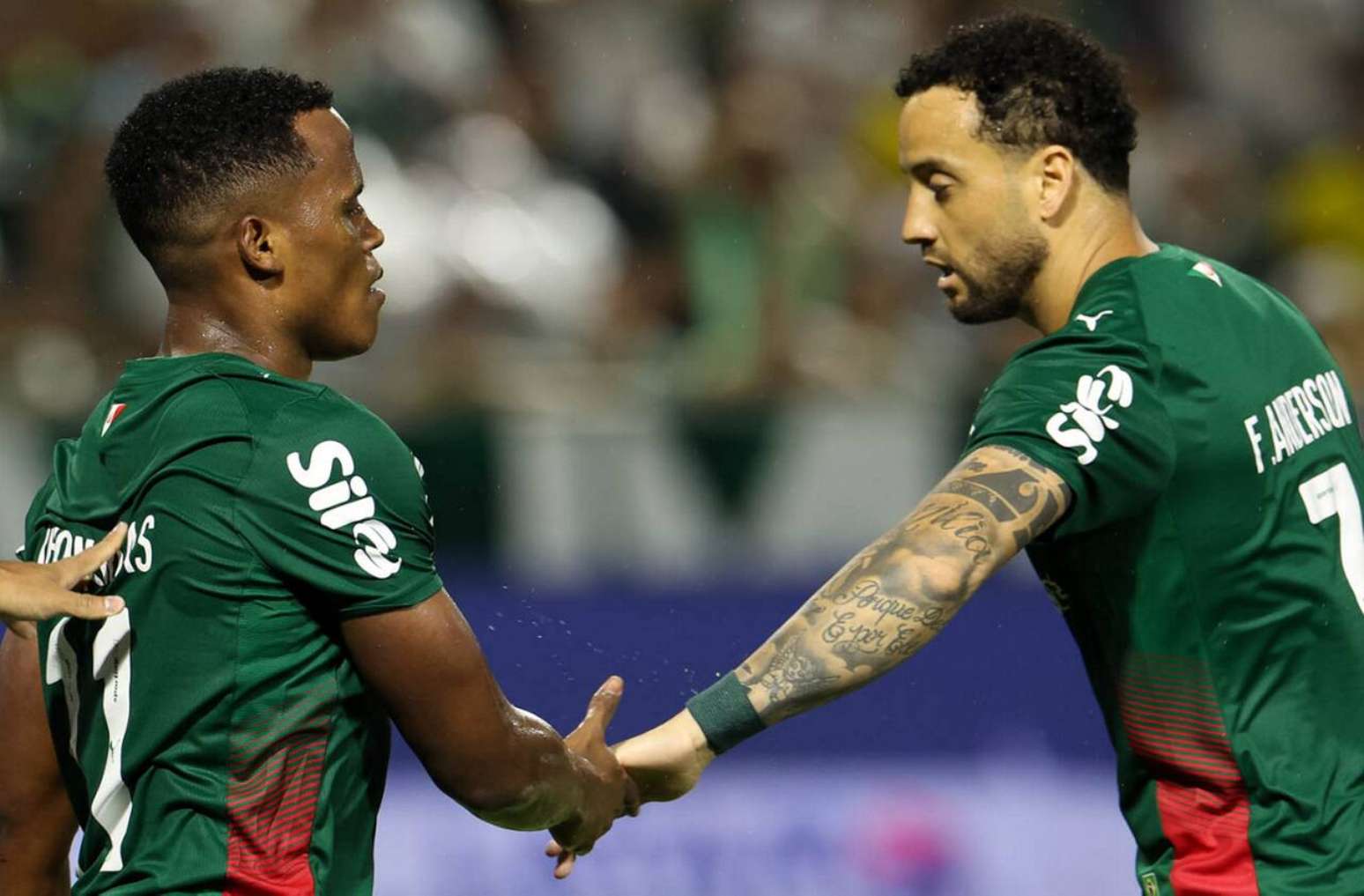 Palmeiras chega a sua 13° semifinal de Paulistão consecutiva
