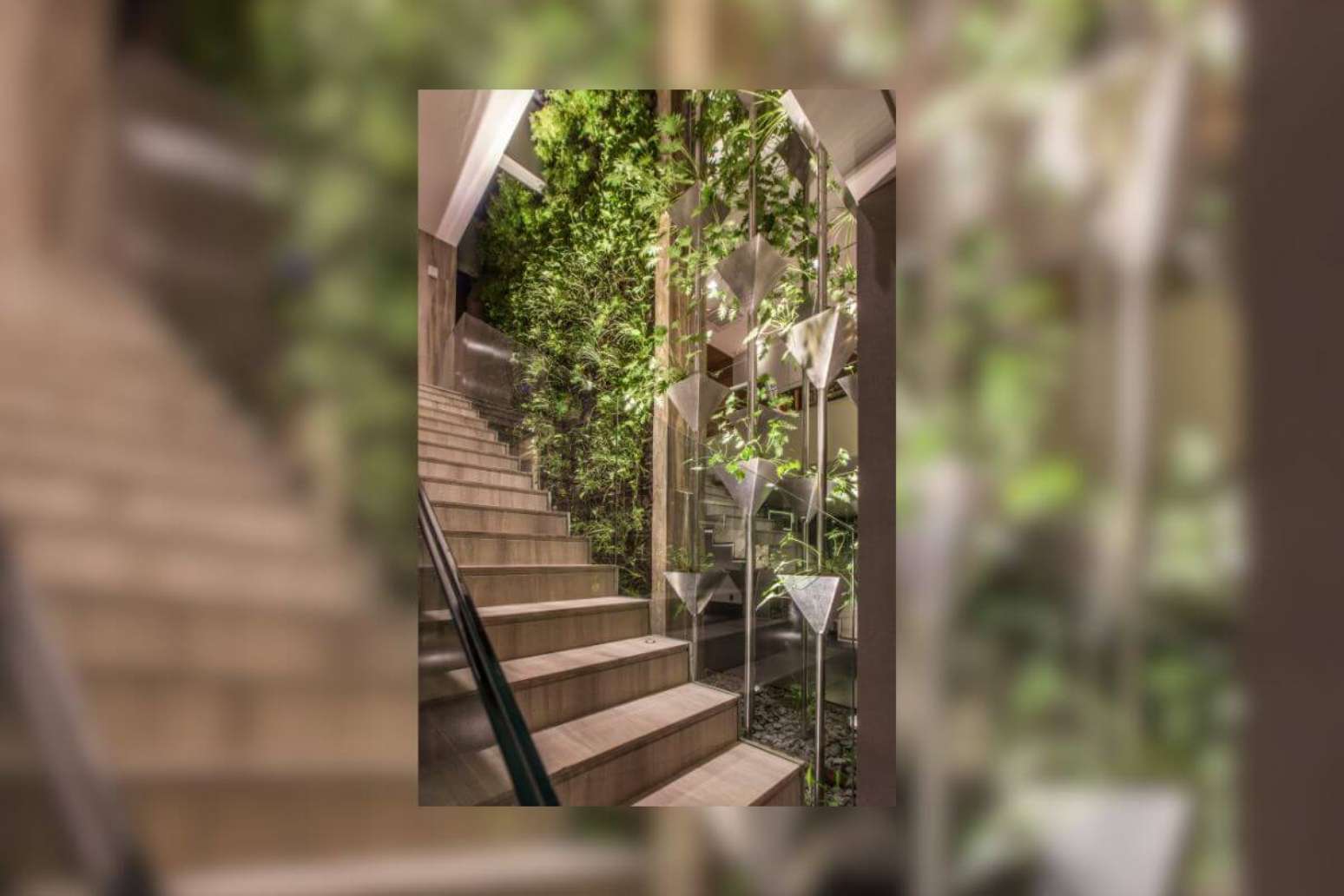 Jardim sensorial: veja como criar um espaço que ativa os sentidos humanos
