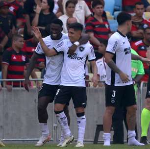 Botafogo vence o Flamengo e volta a ser líder do Brasileirão