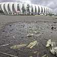 Peixes mortos são encontrados no entorno do Estádio Beira-Rio; veja