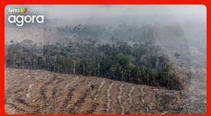 'PL da devastação vai gerar impacto na vida das pessoas', afirma Greenpeace