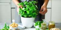 Conheça os benefícios do manjericão - Foto: Shutterstock Foto: Guia da Cozinha