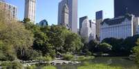 Central Park é um dos pontos turísticos mais famosos de Nova York, nos EUA.  Foto: Alex Lopez/GoNewYork / Divulgação