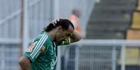 <p>Barcos pode trocar o Palmeiras, onde tem salários atrasados, pelo Grêmio de Vanderlei Luxemburgo</p>  Foto: Ricardo Matsukawa / Terra