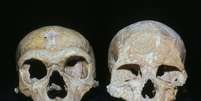 Estudo da Universidade de Oxford sugere que Neandertais foram extintos porque tinham olhos maiores do que o Homo sapiens  Foto: Natural History Museum / BBC News Brasil