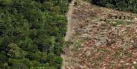 Imagem de 2012 mostra área desmatada na região amazônica  Foto: Getty Images 