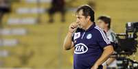 <p>Kleina será mantido no cargo de treinador do Palmeiras</p>  Foto: Jose Luiz Silva / Futura Press