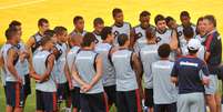 <p>Fluminense foi vice-campeão carioca, mas agora foca Libertadores</p>  Foto: Daniel Ramalho / Terra