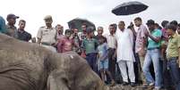 Moradores observam corpo de um elefante que morreu atropelado por um trem nesta quinta-feira na Índia  Foto: AP
