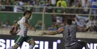 <p>Entre outros nomes, Maikon Leite ainda deve deixar clube alviverde</p>  Foto: Marcelo Pereira / Terra