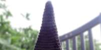 <p>O chapéu de bruxa é um dos destaques das 200 peças feitas por artista americana</p>  Foto: The Grosby Group