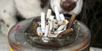 <p>Cachorros expostos à fumaça de tabaco têm mais propensâo a desenvolverem câncer de nariz e pulmão</p>  Foto: Getty Images 